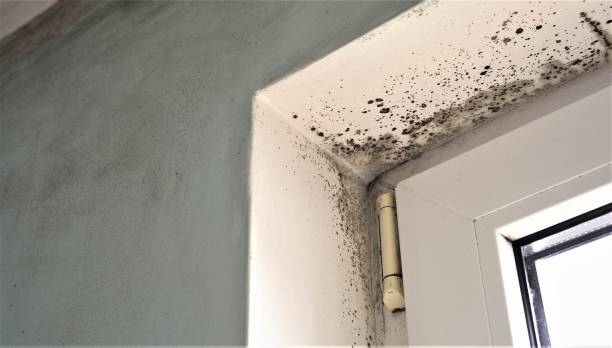 Best Indoor Air Quality Assessment  in Nth Bend, OR