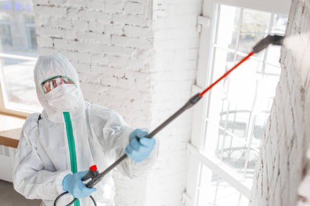 Best Biohazard Mold Removal  in Nth Bend, OR