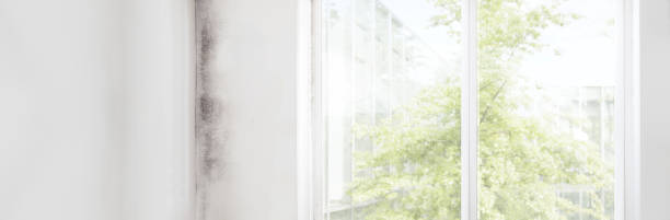 Best Residential Mold Inspection & Testing  in Nth Bend, OR